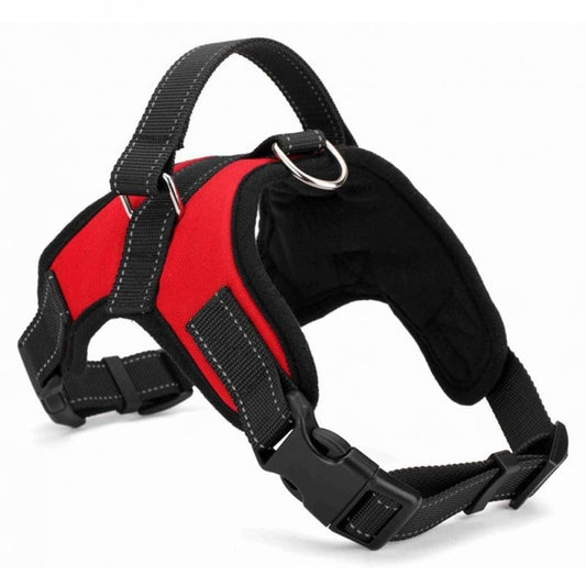 Nylon Heavy Duty Dog  Harness / Collar